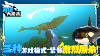萊莎的煉金工房鐵礦資源獲取與煉金技巧攻略，如何利用鐵礦打造強(qiáng)力裝備